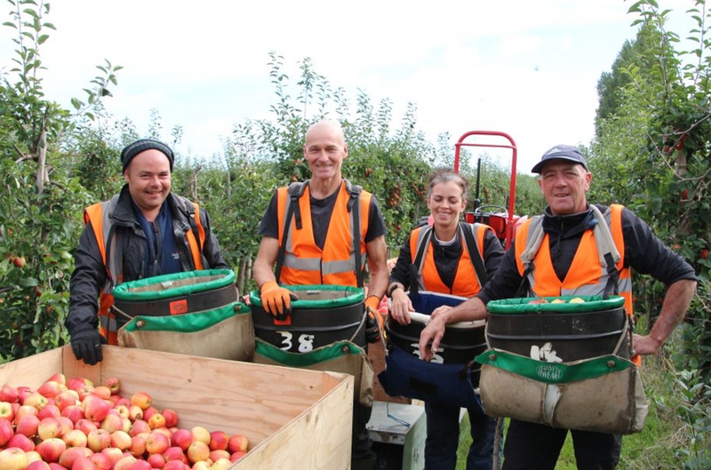 Broadwater Farm UK Summer Fruit Picking